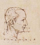 Leonardo Da Vinci Study of the proportion of the head oil painting